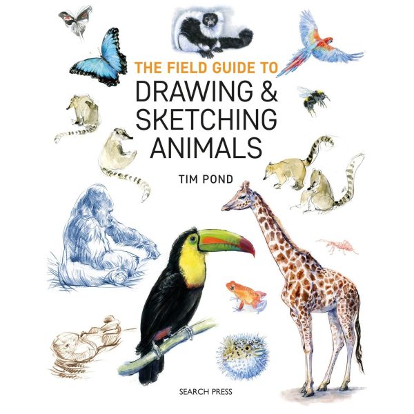 drawing animals for beginners techniques for beginners