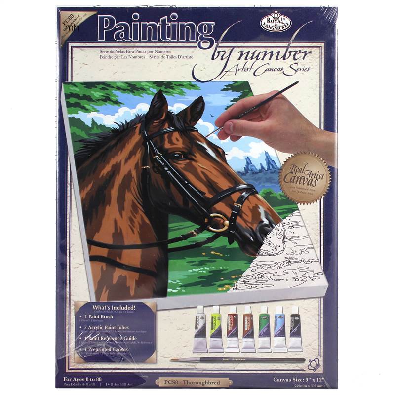 Paint by numbers thoroughbred horse head