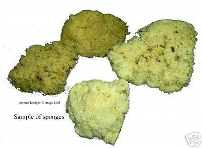 Natural Ocean Sponge from Royal and Langnickel